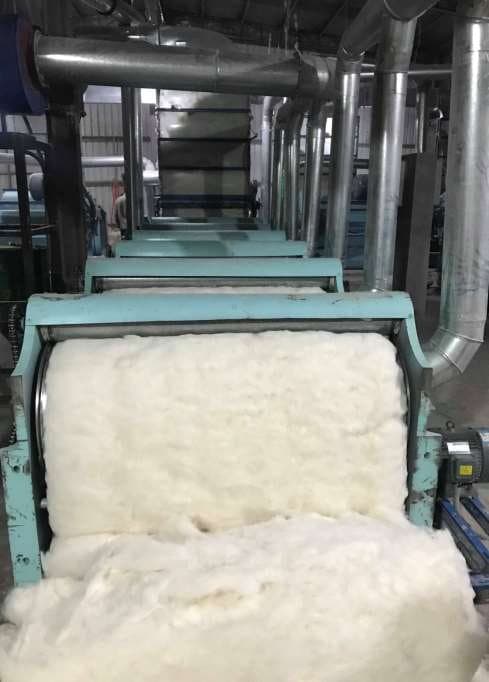 Opened Cotton Fiber on Line
